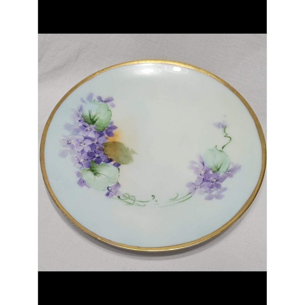 Thomas Sevres Bavaria Porcelain Floral Plate Gold Trim ~8 in Round Decorative - Picture 1 of 10